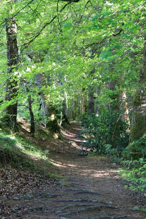 Craik Na Dav B&B Invermoriston Dış mekan fotoğraf