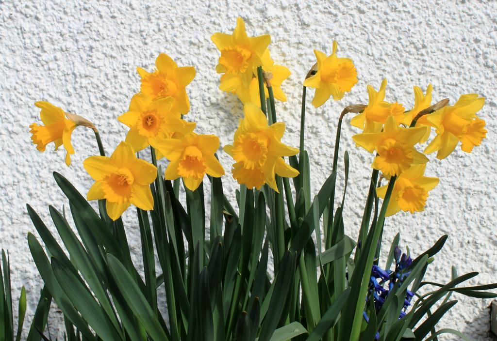Craik Na Dav B&B Invermoriston Dış mekan fotoğraf