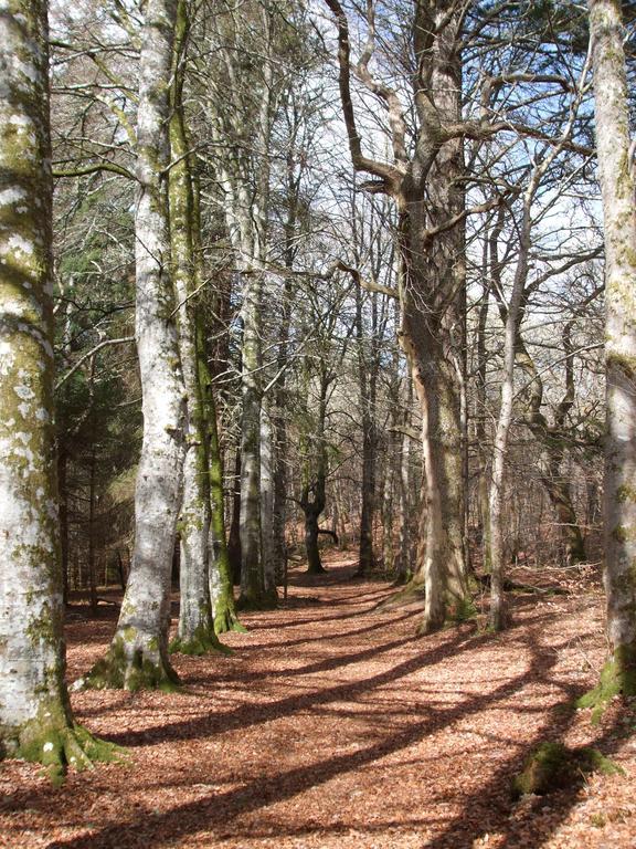 Craik Na Dav B&B Invermoriston Dış mekan fotoğraf