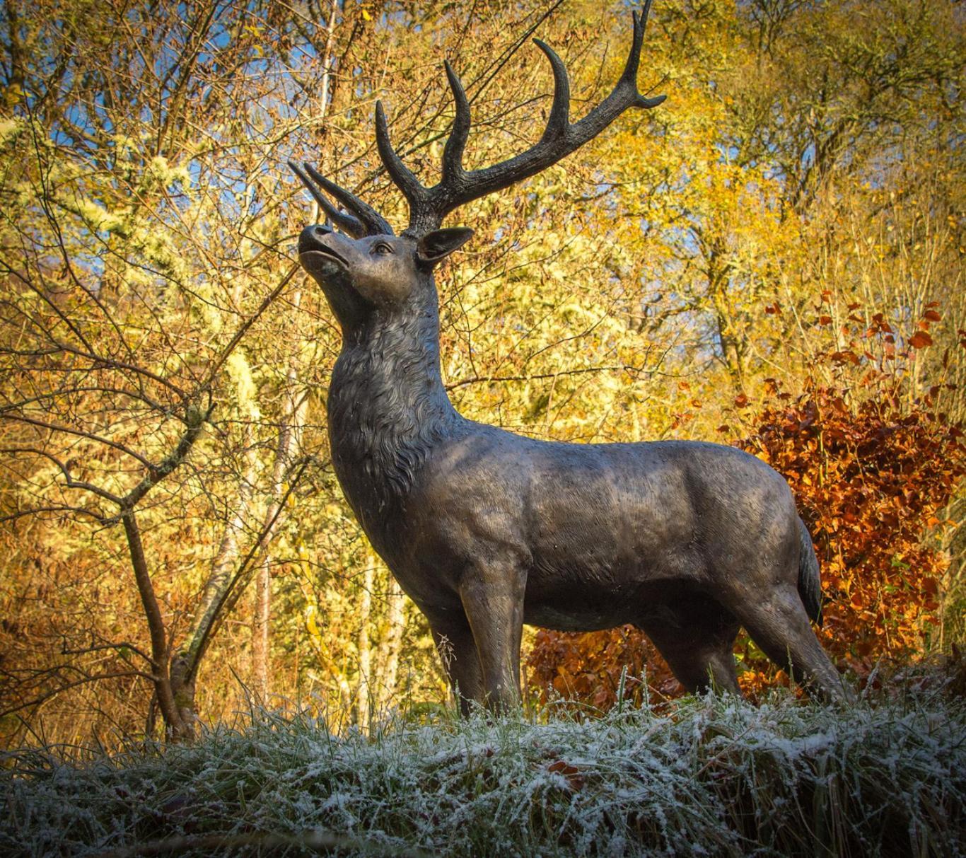 Craik Na Dav B&B Invermoriston Dış mekan fotoğraf
