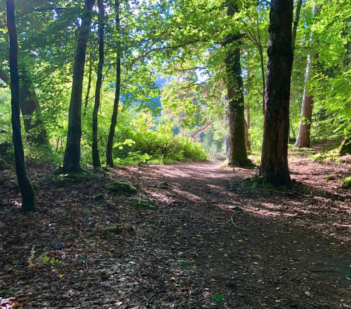 Craik Na Dav B&B Invermoriston Dış mekan fotoğraf
