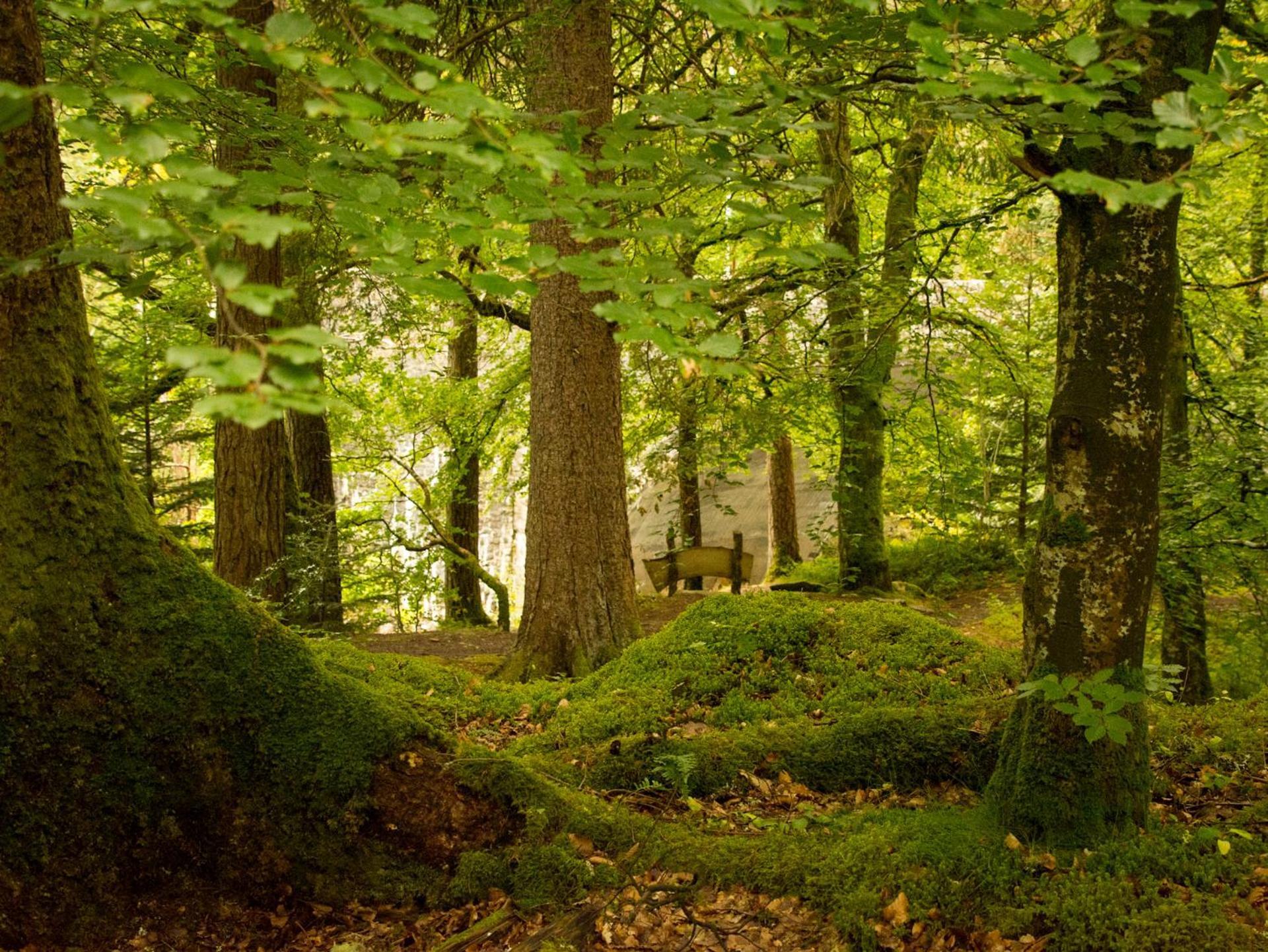Craik Na Dav B&B Invermoriston Dış mekan fotoğraf