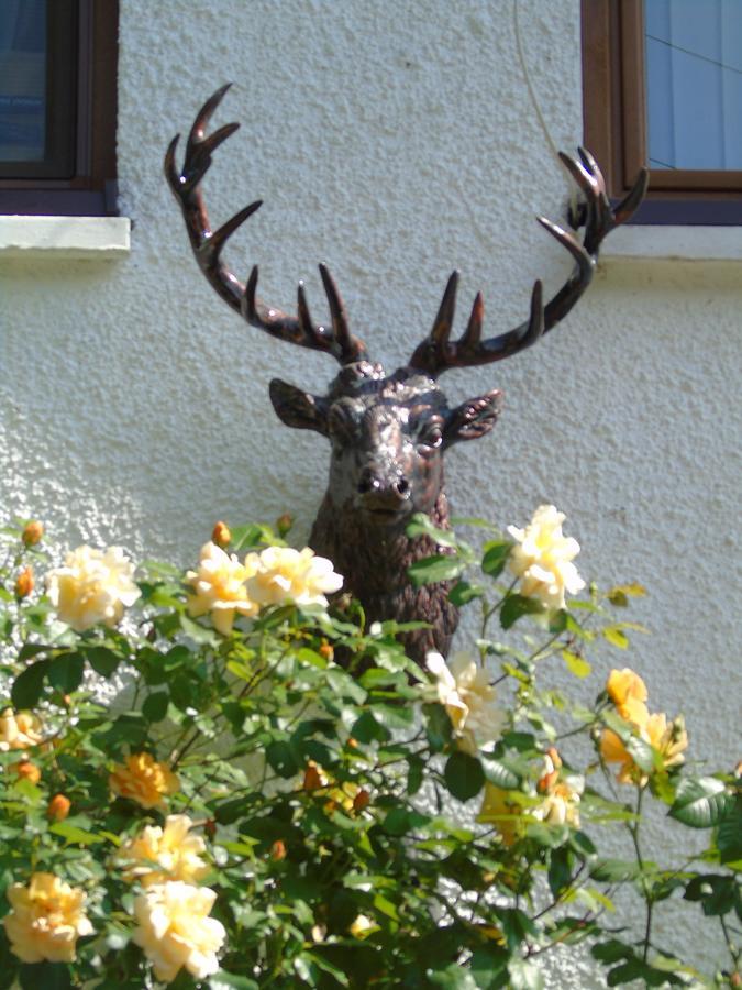Craik Na Dav B&B Invermoriston Dış mekan fotoğraf